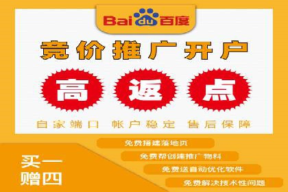 SEM竞价实战：成功案例解析